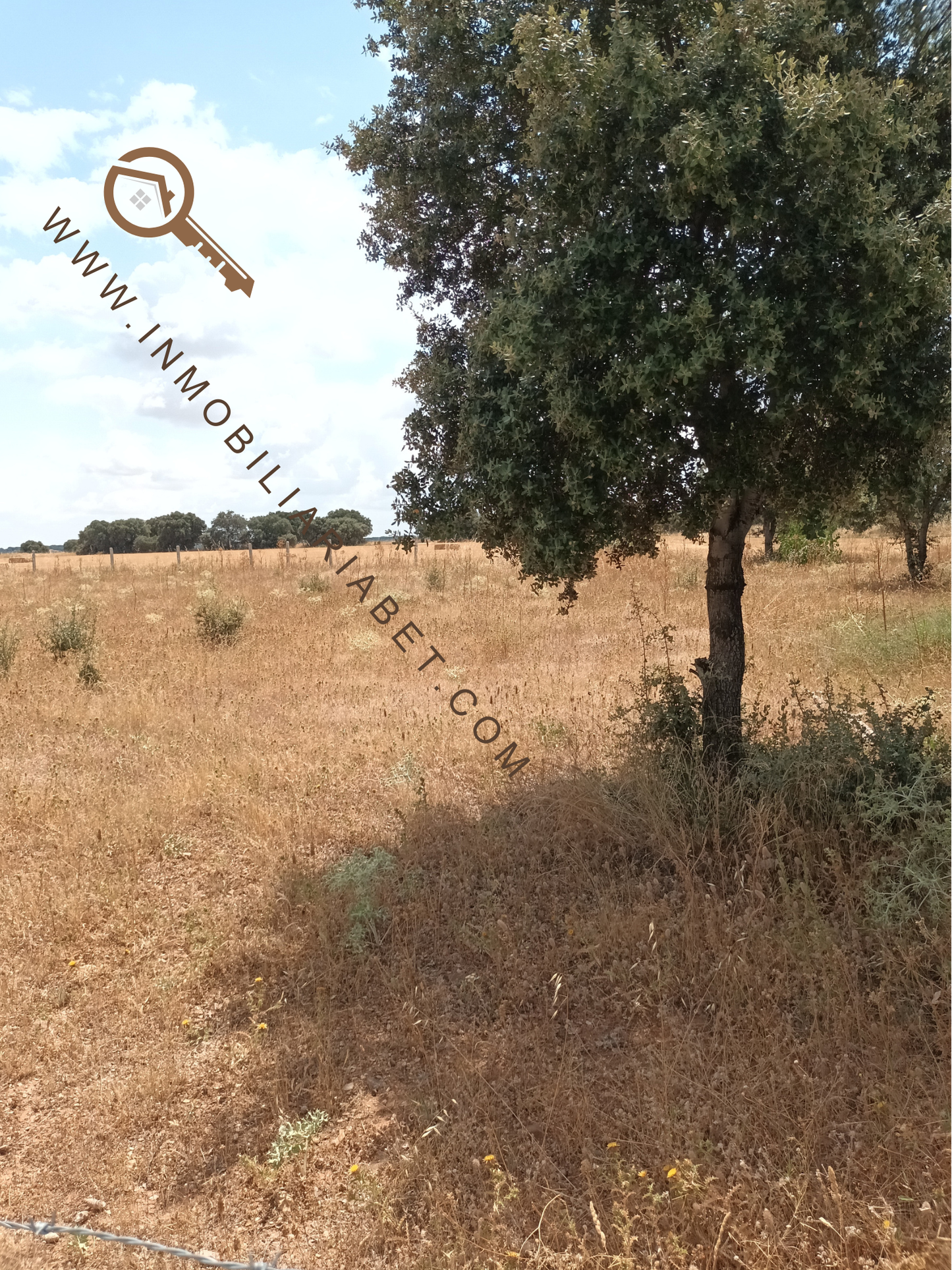 Parcela rustica